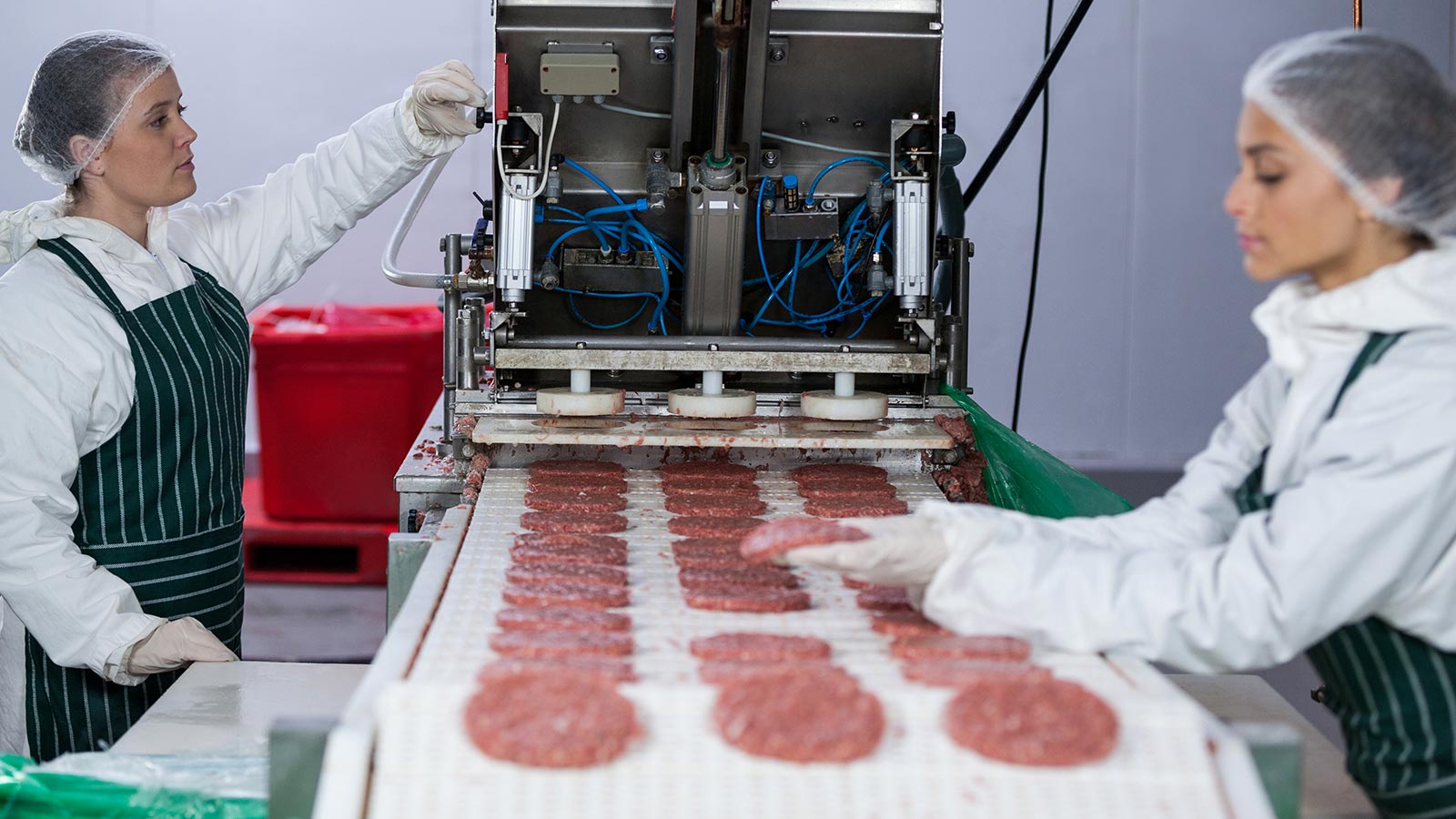 Los estudios eran correctos